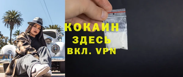 крисы Арсеньев