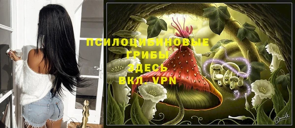 ALPHA PVP Аркадак
